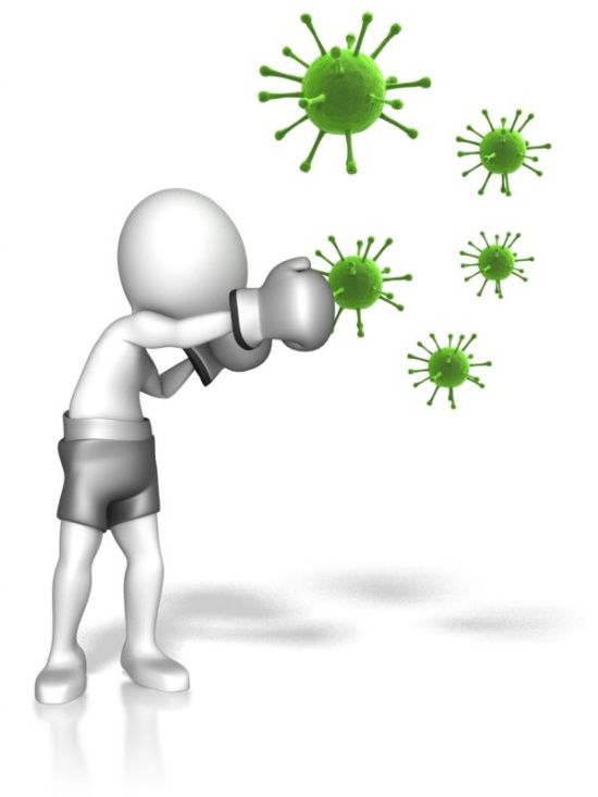 Seasonal Flu Immunisations